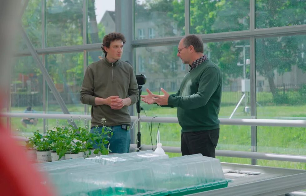 Elias Tetzlaff interviewt Prof. Palm im Aquaponik-Gewächshaus.