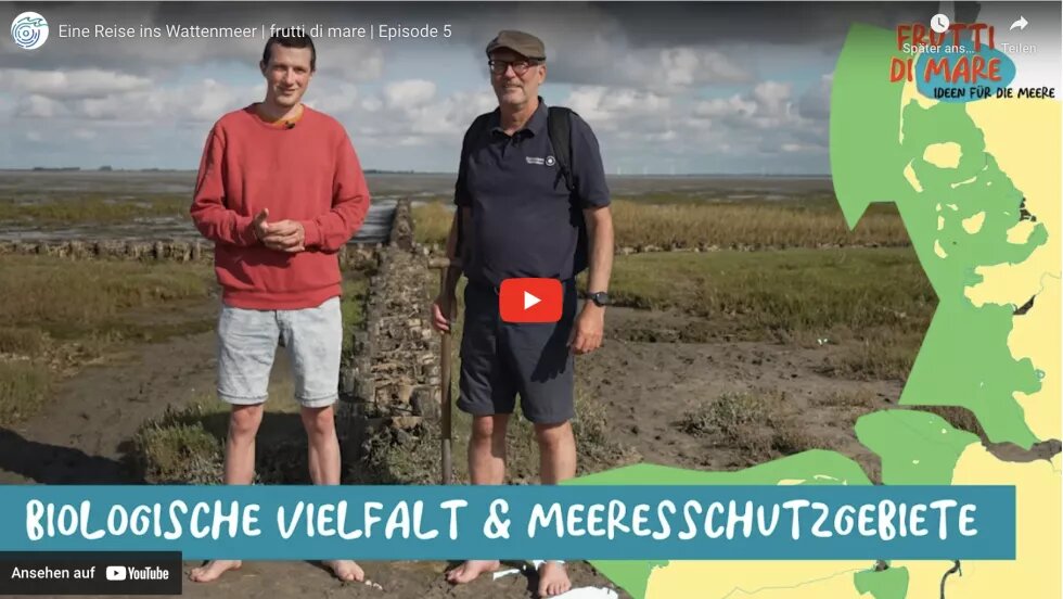 Elias (frutti di mare) und Claus von Hoerschelmann (Multimar Wattforum) stehen gemeinsam im Watt der Nordsee. Rechts ist eine grüne Landkarte vom Gebiet des Nationalparks Wattenmeer.