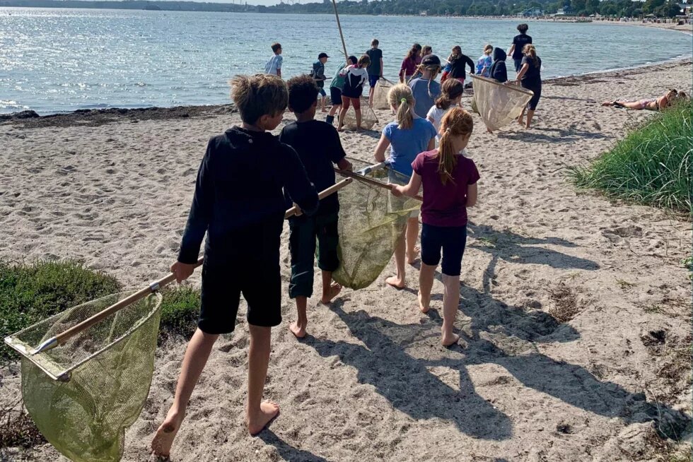 Ein Gruppe junger Kinder geht mit Keschern an einem Strand Richtung Wasser entlang. 